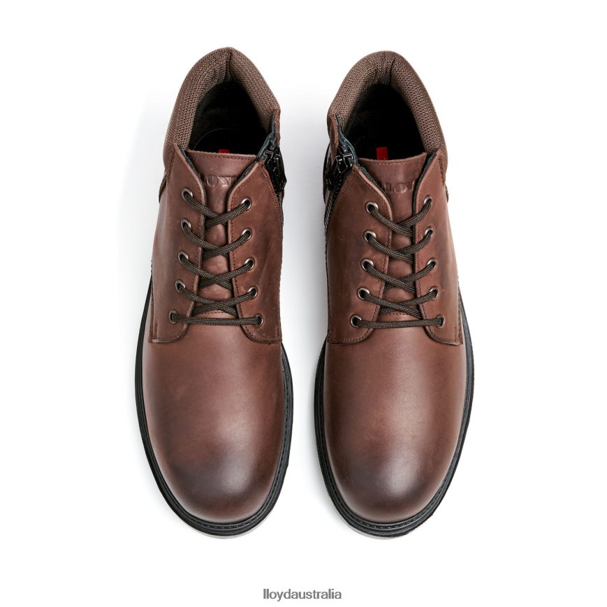 LLOYD Men VANCOUVER brown Shoes H6PTLF534