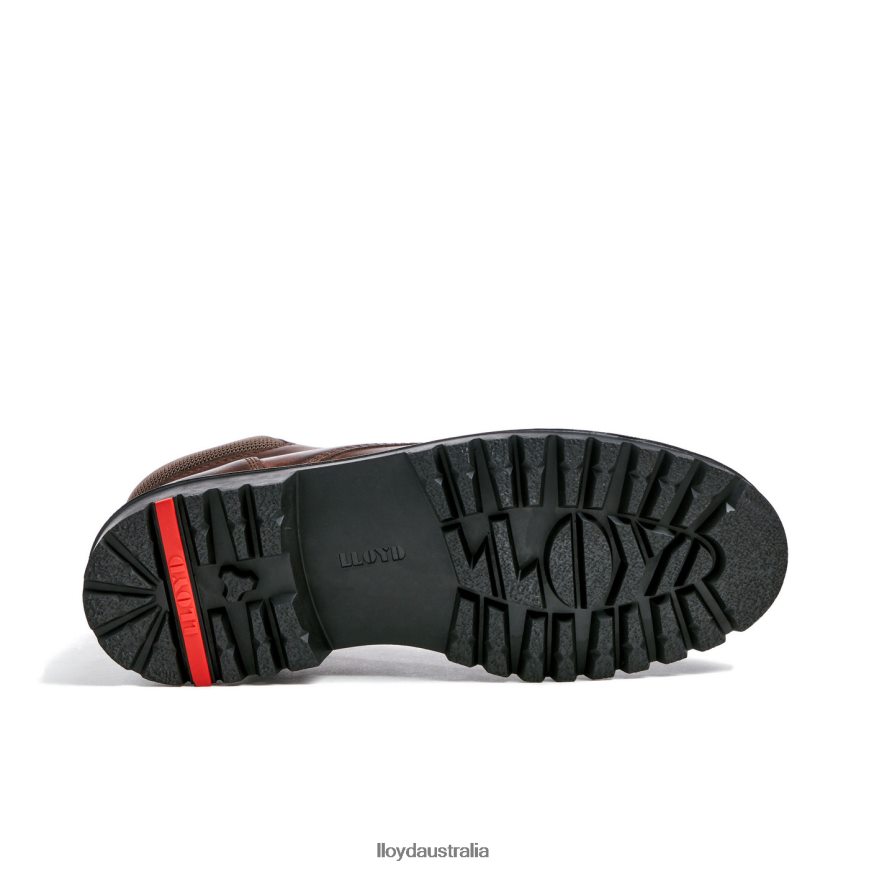 LLOYD Men VANCOUVER brown Shoes H6PTLF534
