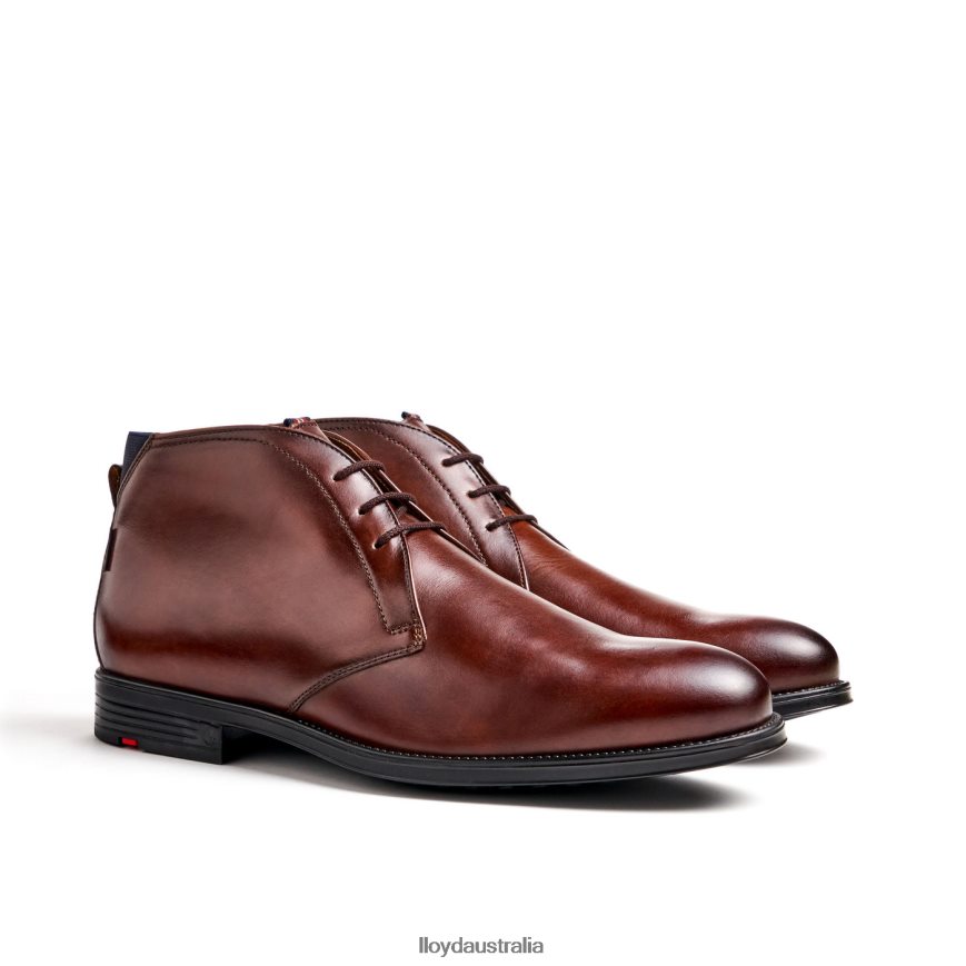 LLOYD Men VANE brown Shoes H6PTLF131