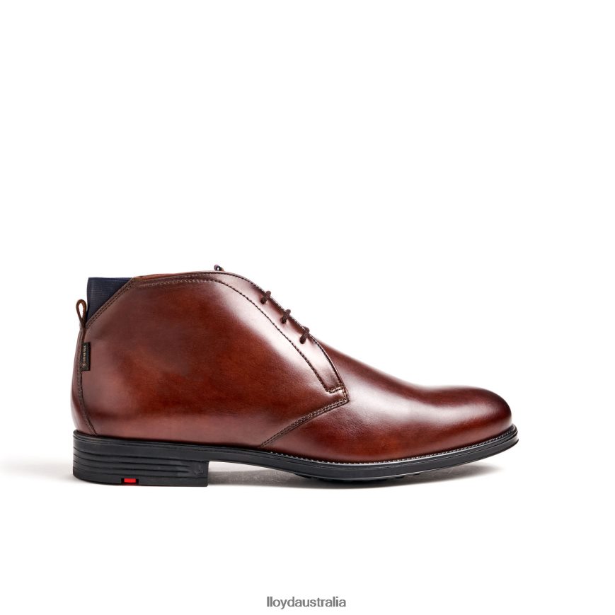 LLOYD Men VANE brown Shoes H6PTLF131