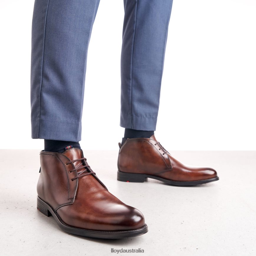LLOYD Men VANE brown Shoes H6PTLF131