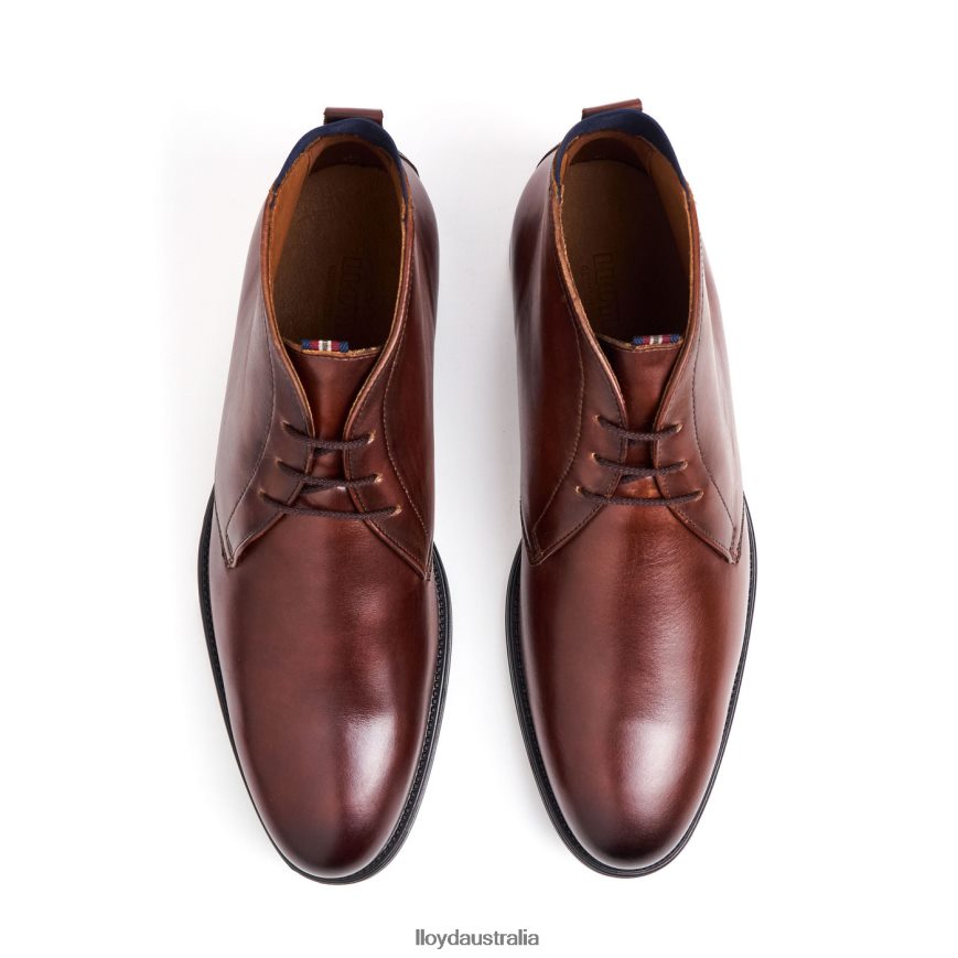 LLOYD Men VANE brown Shoes H6PTLF131