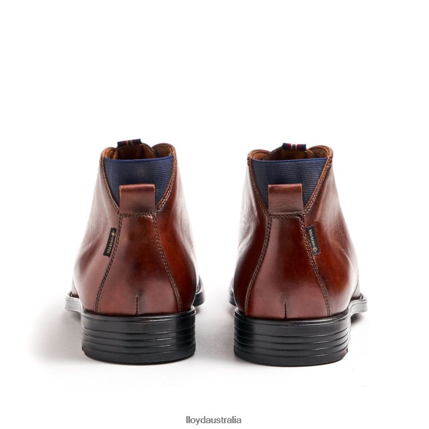 LLOYD Men VANE brown Shoes H6PTLF131