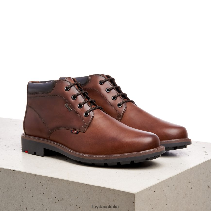 LLOYD Men VARLEY brown Shoes H6PTLF533