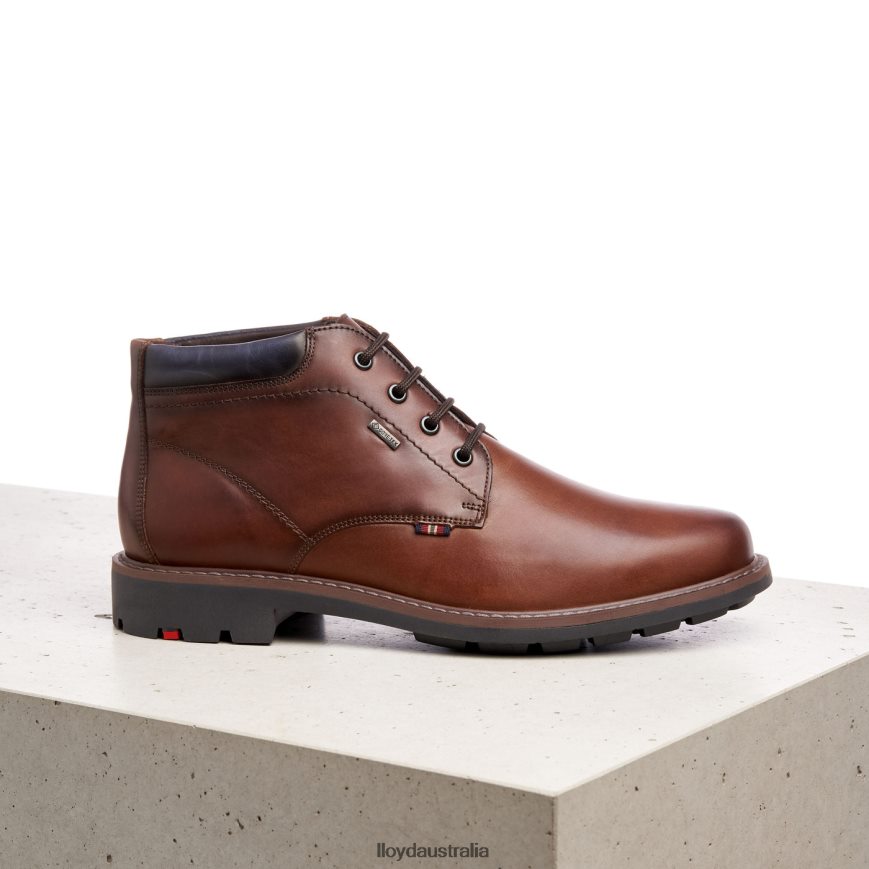 LLOYD Men VARLEY brown Shoes H6PTLF533
