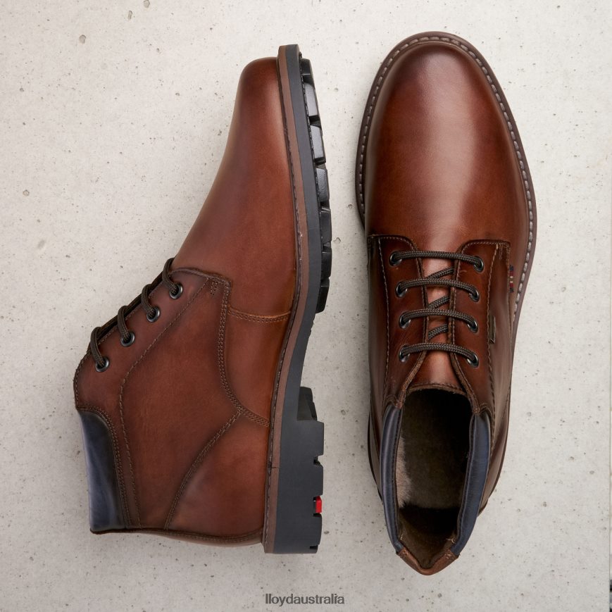 LLOYD Men VARLEY brown Shoes H6PTLF533