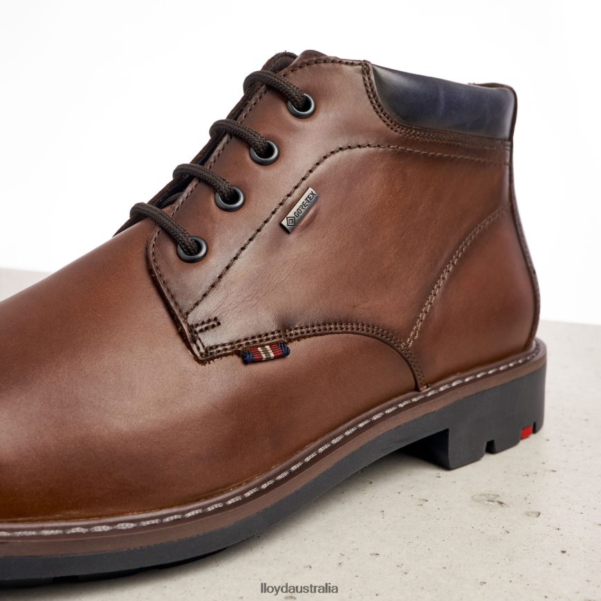 LLOYD Men VARLEY brown Shoes H6PTLF533