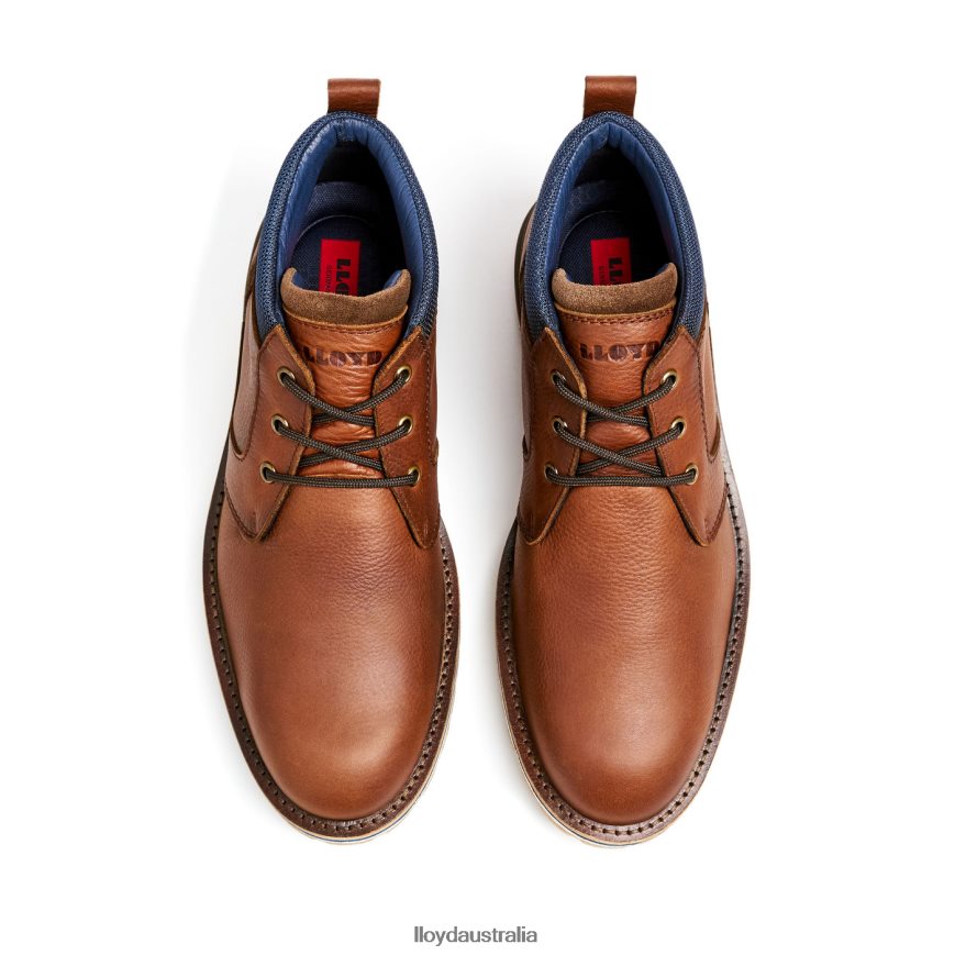 LLOYD Men VEGAS brown Shoes H6PTLF511