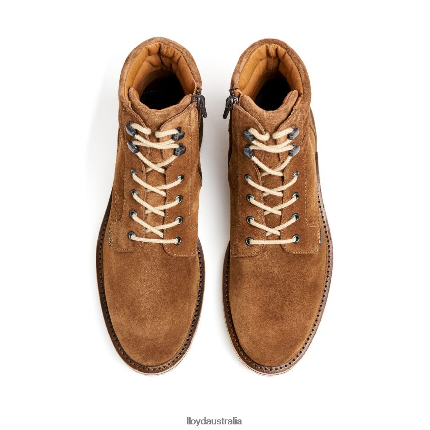 LLOYD Men VEIT brown Shoes H6PTLF520