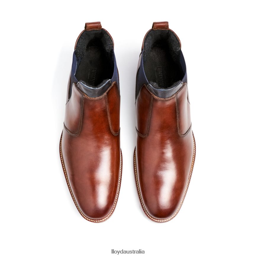 LLOYD Men VESUV brown Shoes H6PTLF145