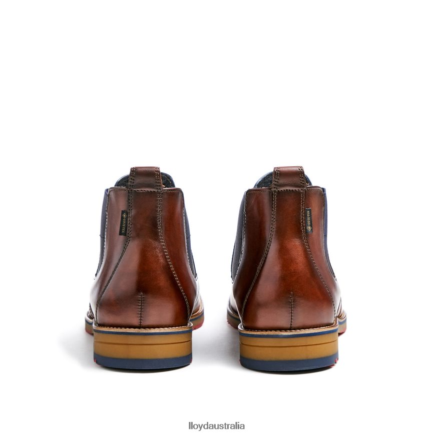 LLOYD Men VESUV brown Shoes H6PTLF145