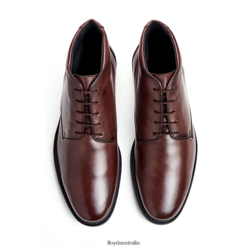 LLOYD Men VINEY brown Shoes H6PTLF528