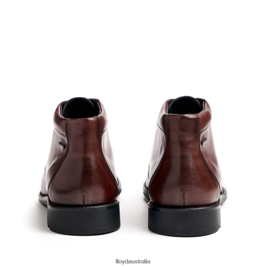 LLOYD Men VINEY brown Shoes H6PTLF528