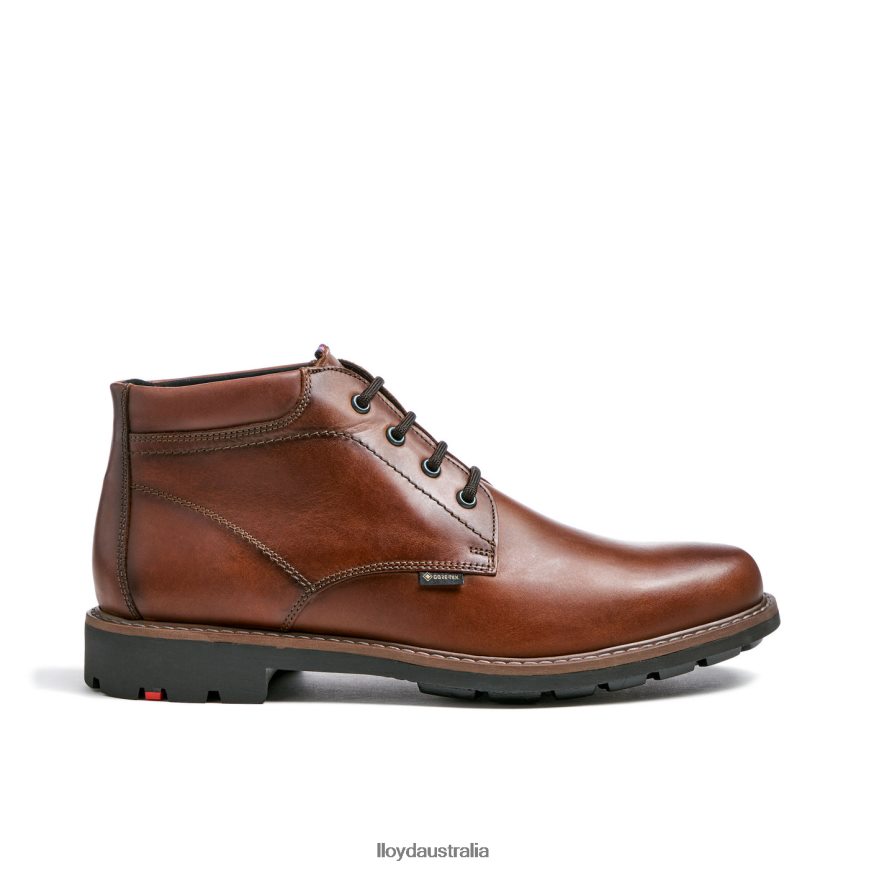 LLOYD Men VISCO brown Shoes H6PTLF515