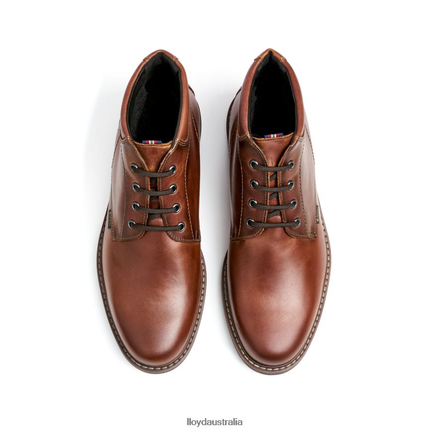 LLOYD Men VISCO brown Shoes H6PTLF515