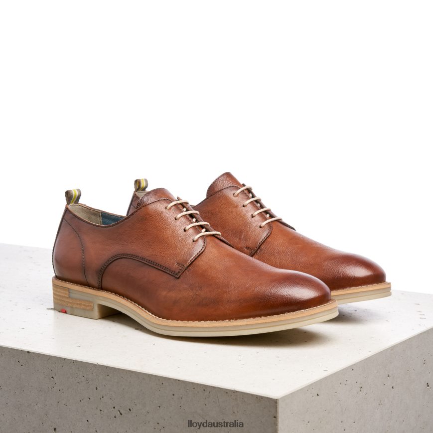 LLOYD Men DAKOTA brown Shoes H6PTLF608