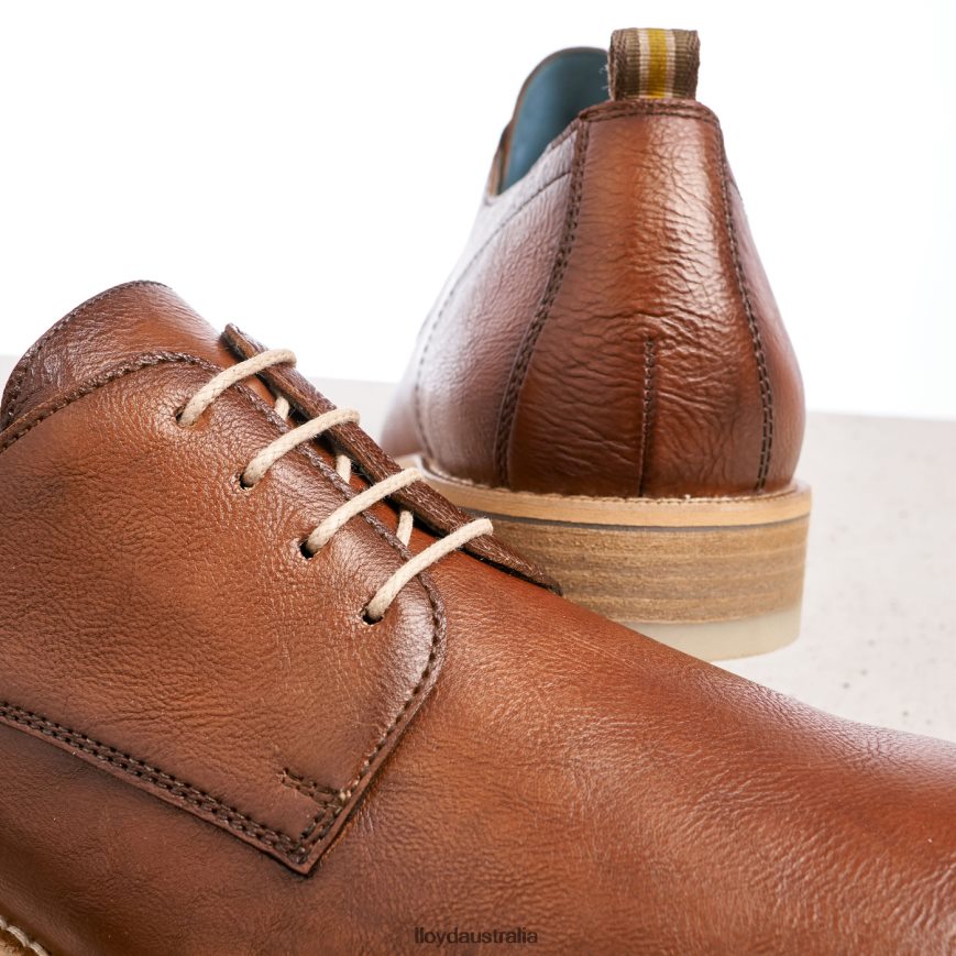 LLOYD Men DAKOTA brown Shoes H6PTLF608