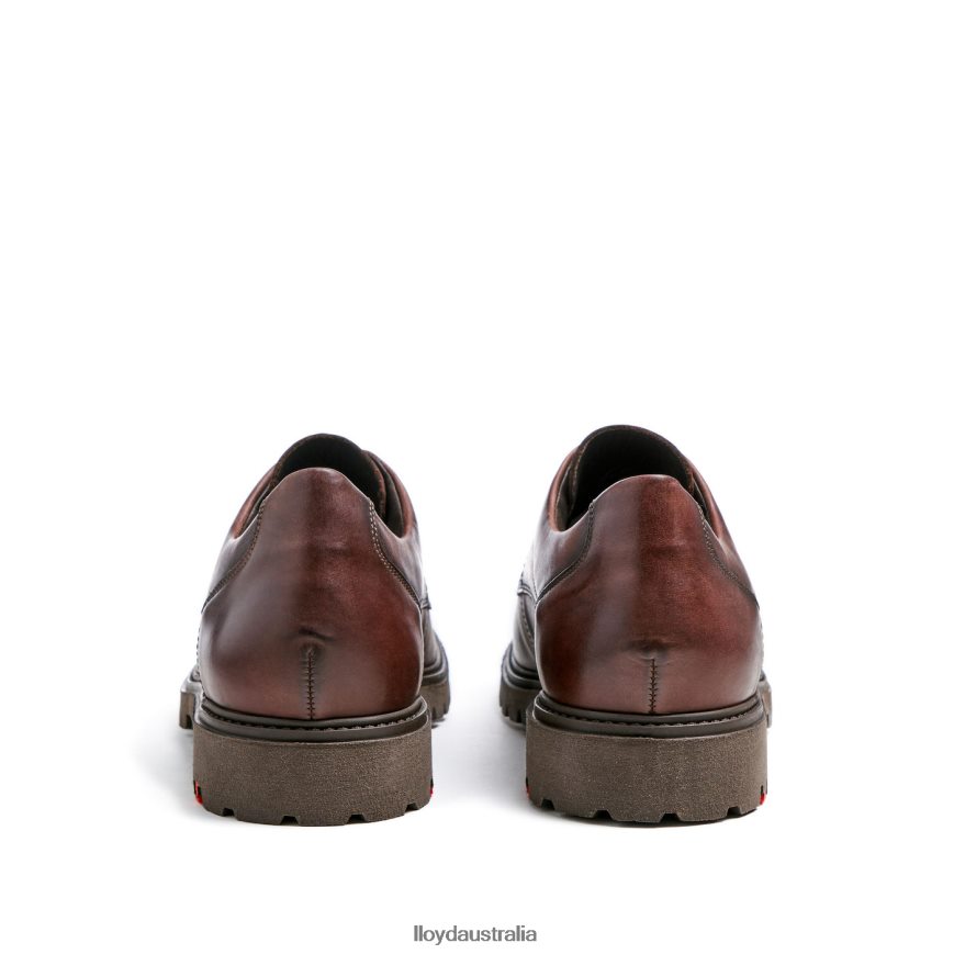 LLOYD Men DALTON brown Shoes H6PTLF39
