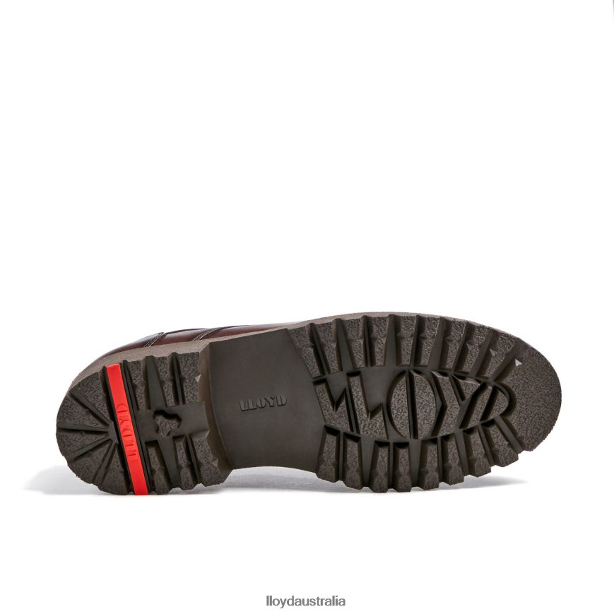 LLOYD Men DALTON brown Shoes H6PTLF39