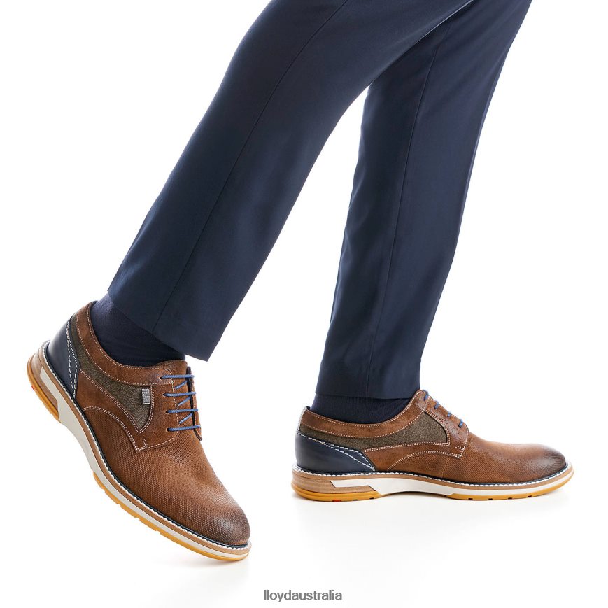 LLOYD Men DARRIS brown Shoes H6PTLF588