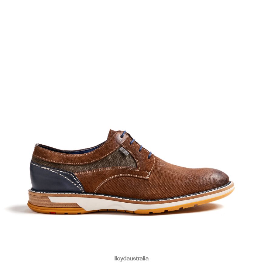 LLOYD Men DARRIS brown Shoes H6PTLF588