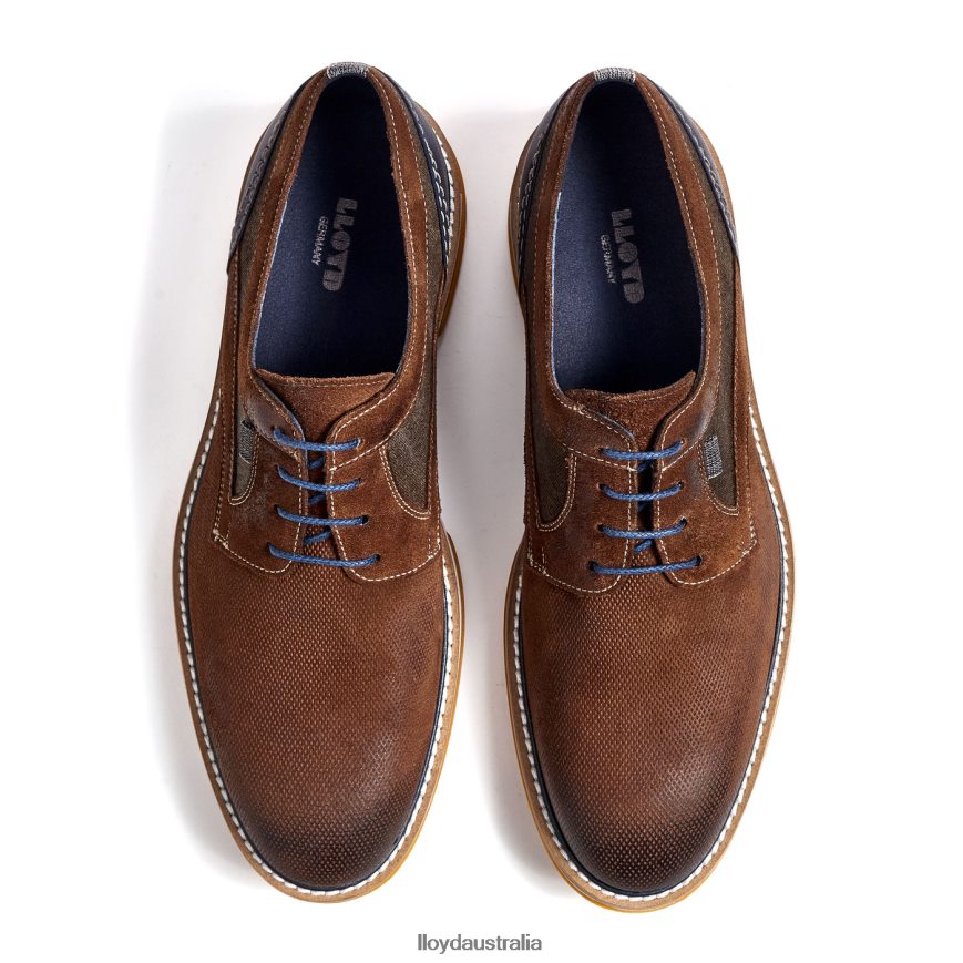 LLOYD Men DARRIS brown Shoes H6PTLF588
