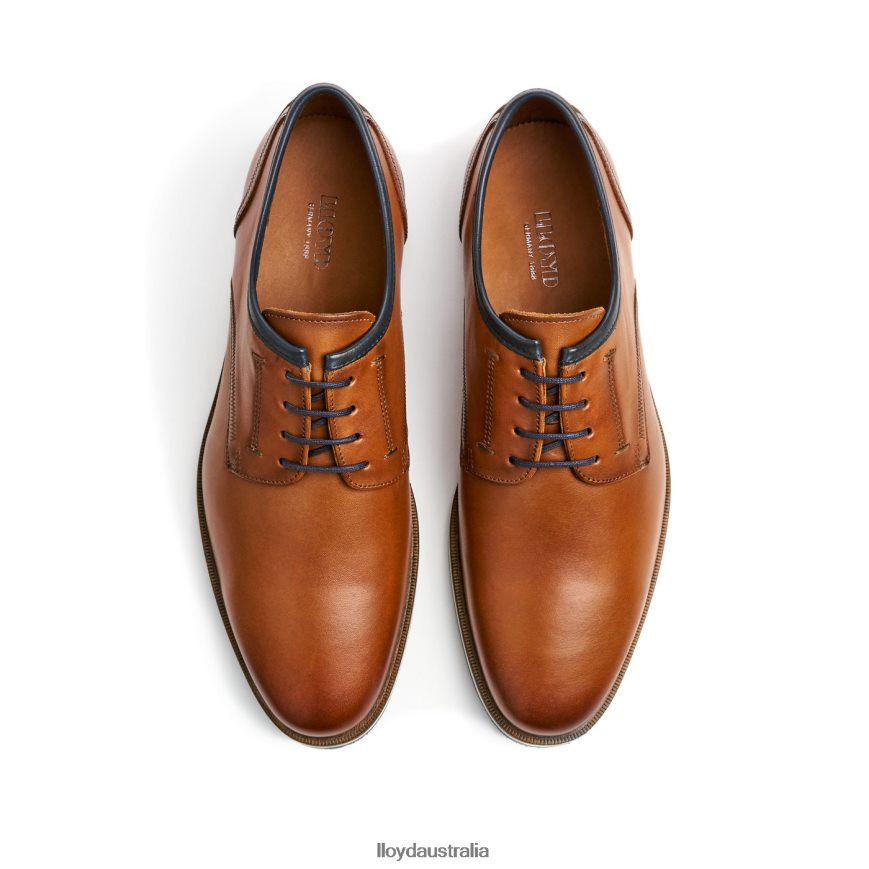 LLOYD Men DETROIT brown Shoes H6PTLF113