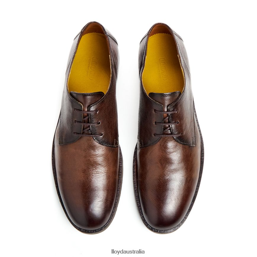 LLOYD Men DORIAN brown Shoes H6PTLF37