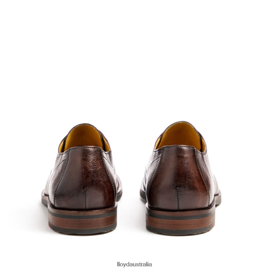 LLOYD Men DORIAN brown Shoes H6PTLF37