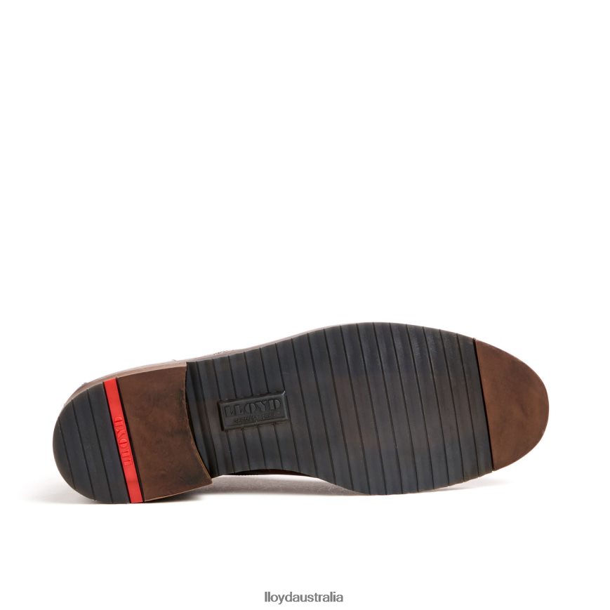 LLOYD Men DORIAN brown Shoes H6PTLF37