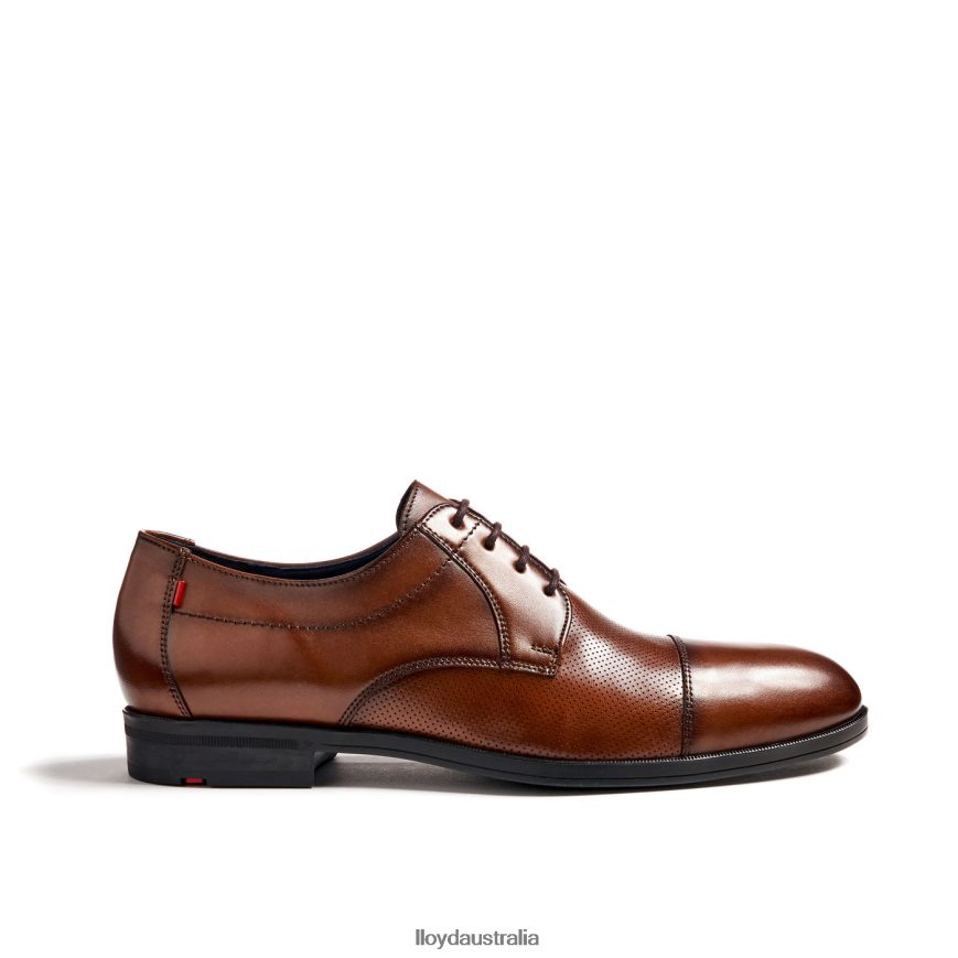 LLOYD Men FOLCO brown Shoes H6PTLF15