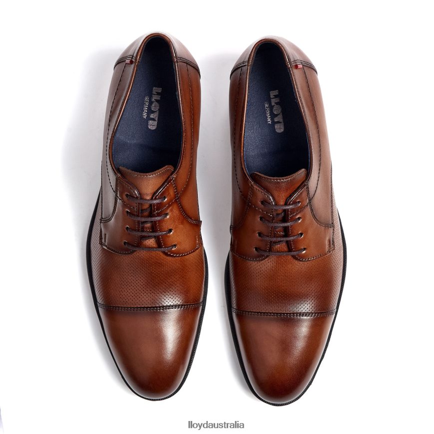 LLOYD Men FOLCO brown Shoes H6PTLF15