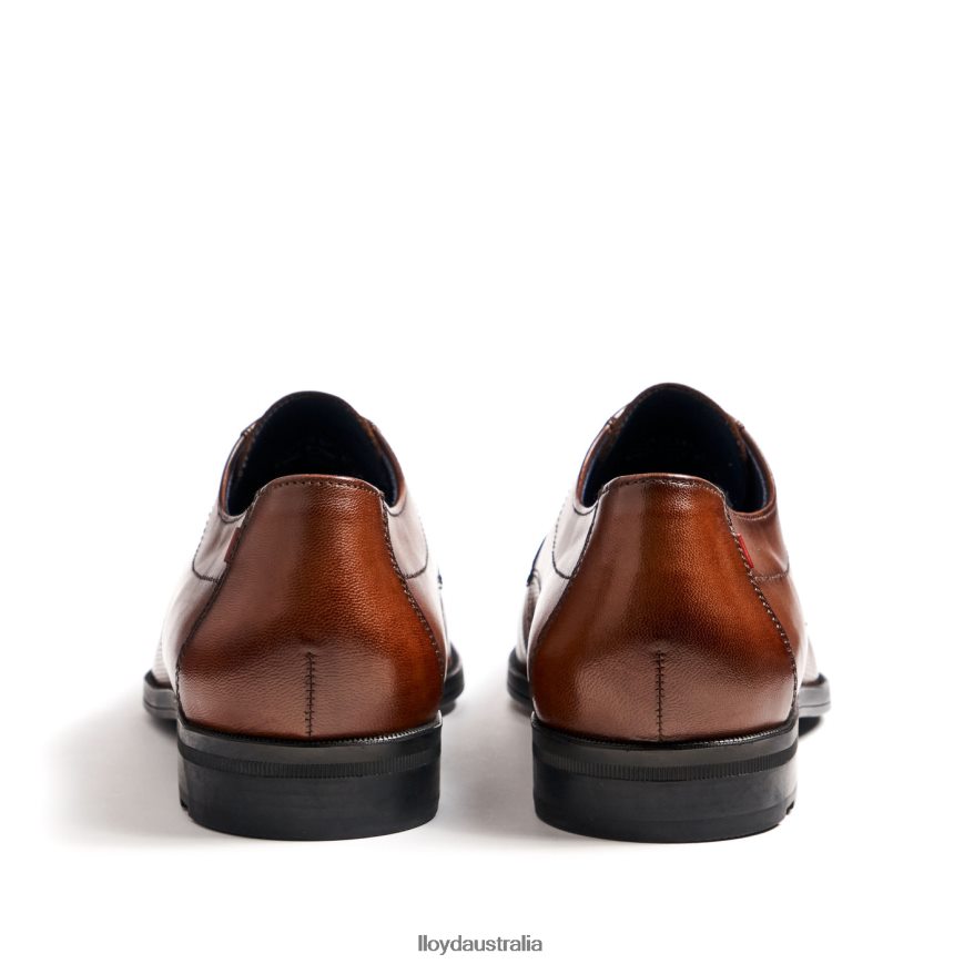 LLOYD Men FOLCO brown Shoes H6PTLF15
