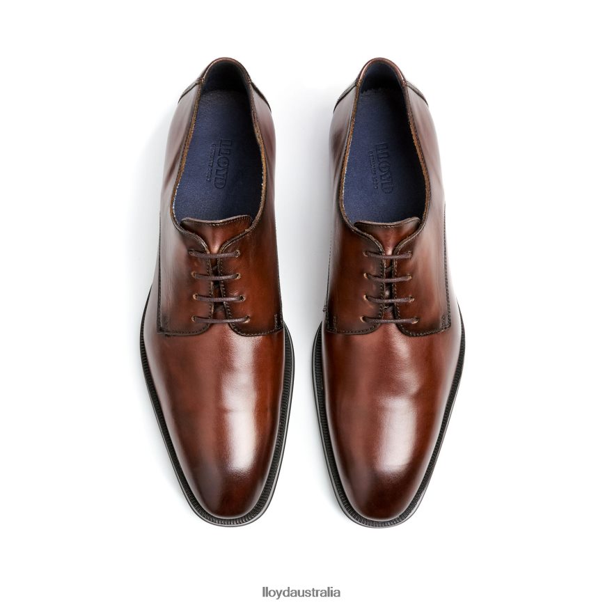 LLOYD Men GIDEON brown Shoes H6PTLF3