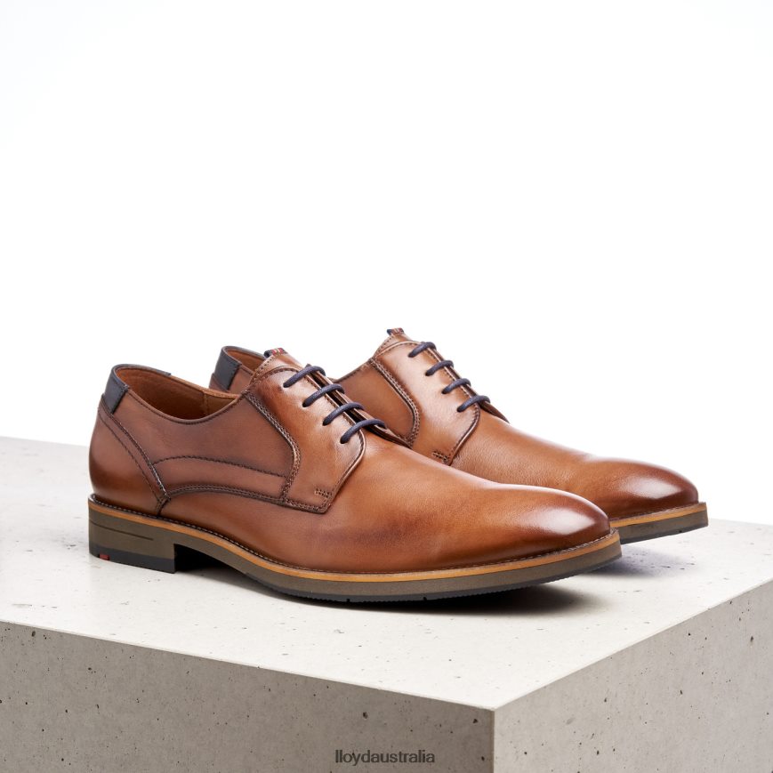 LLOYD Men HALDAN brown Shoes H6PTLF172