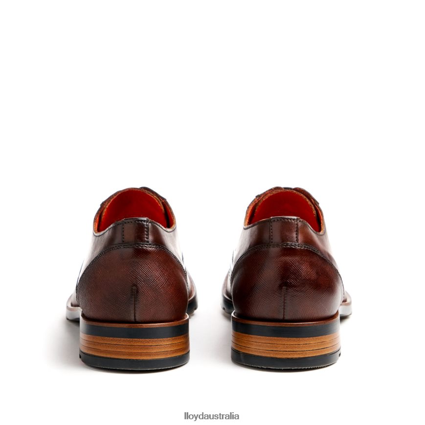 LLOYD Men JACKSON brown Shoes H6PTLF46