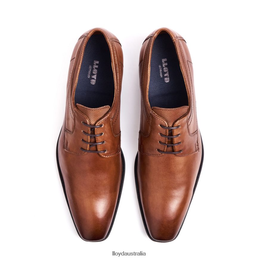 LLOYD Men LACOUR brown Shoes H6PTLF97