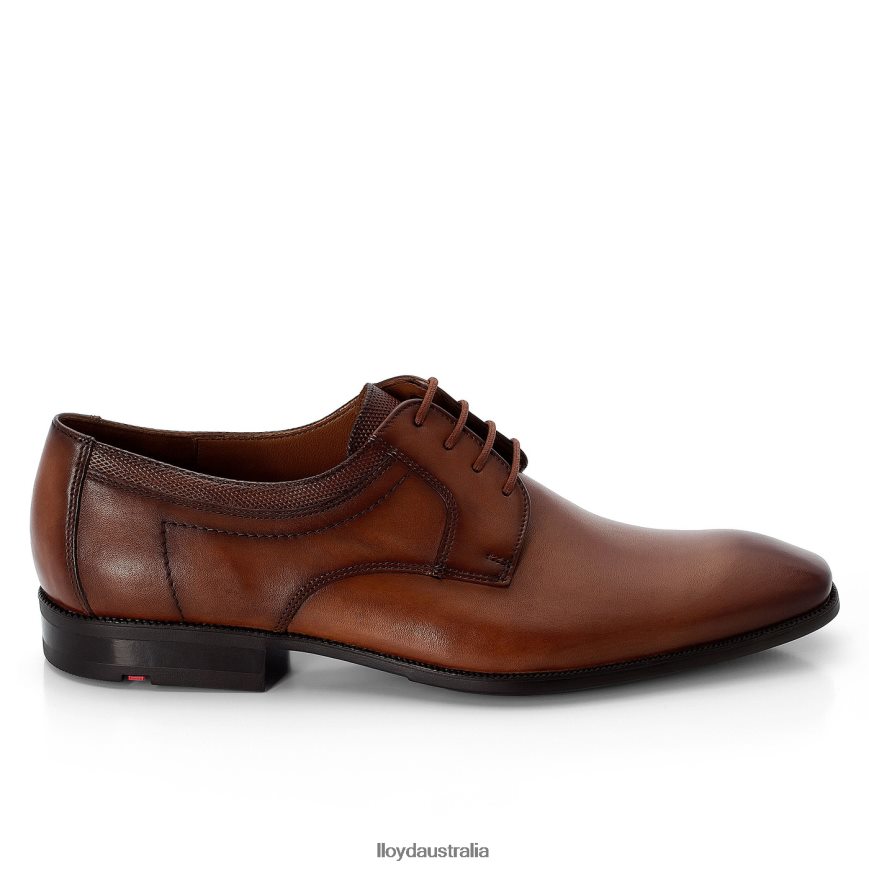 LLOYD Men LACOUR brown Shoes H6PTLF97