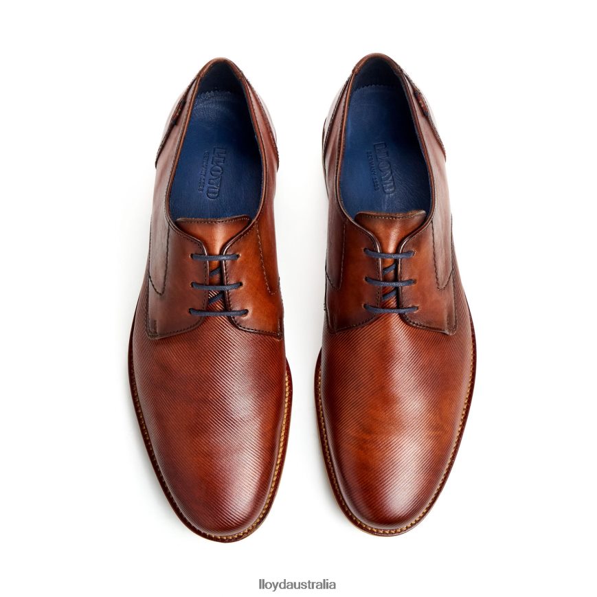 LLOYD Men LAVAL brown Shoes H6PTLF41