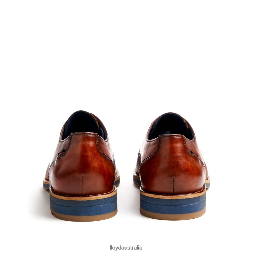 LLOYD Men LAVAL brown Shoes H6PTLF41