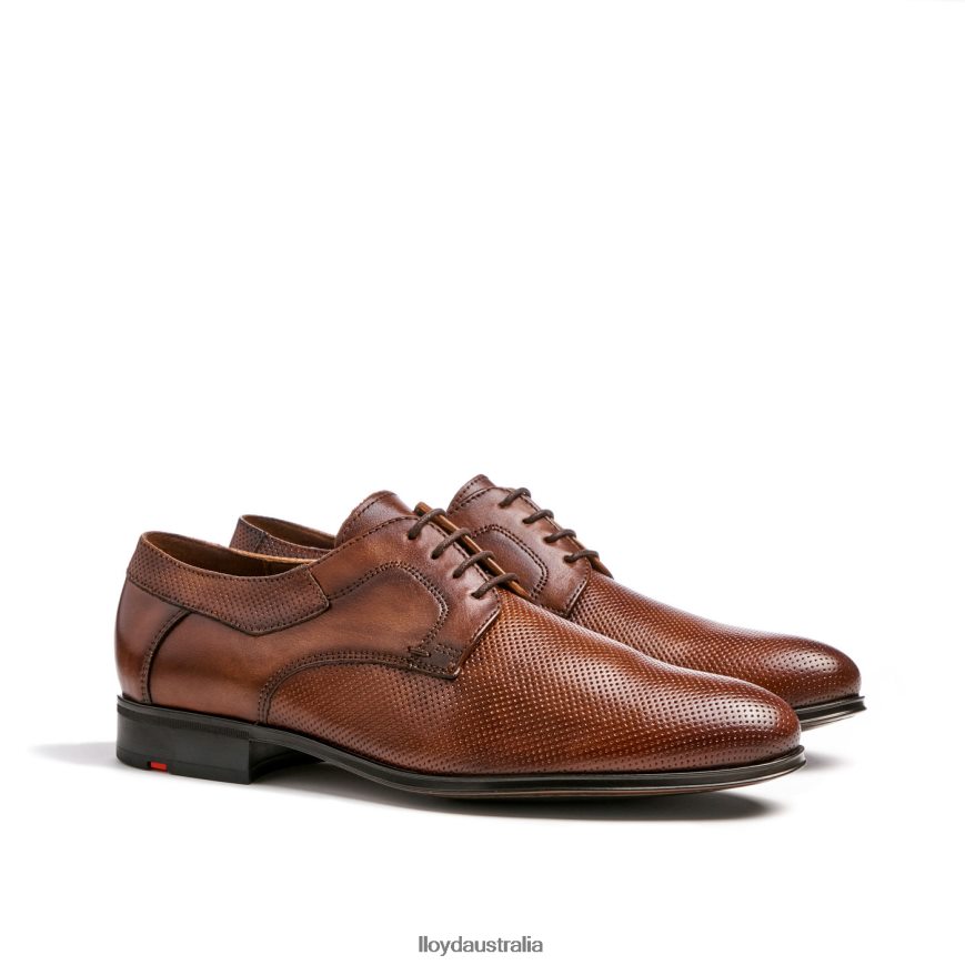 LLOYD Men LEVIN brown Shoes H6PTLF87