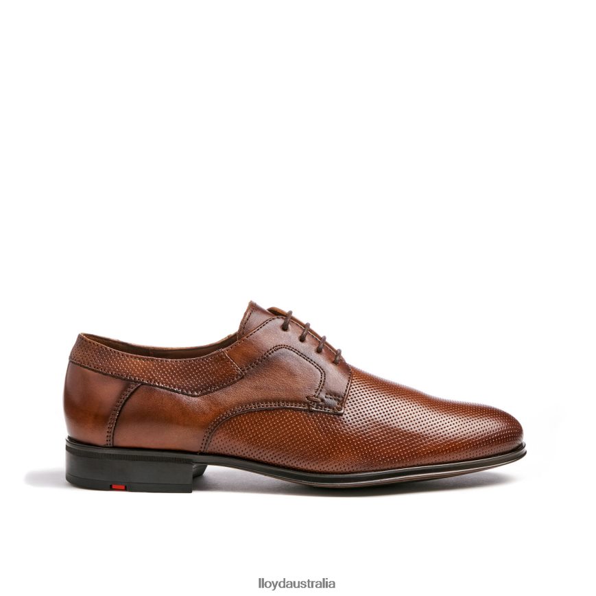 LLOYD Men LEVIN brown Shoes H6PTLF87