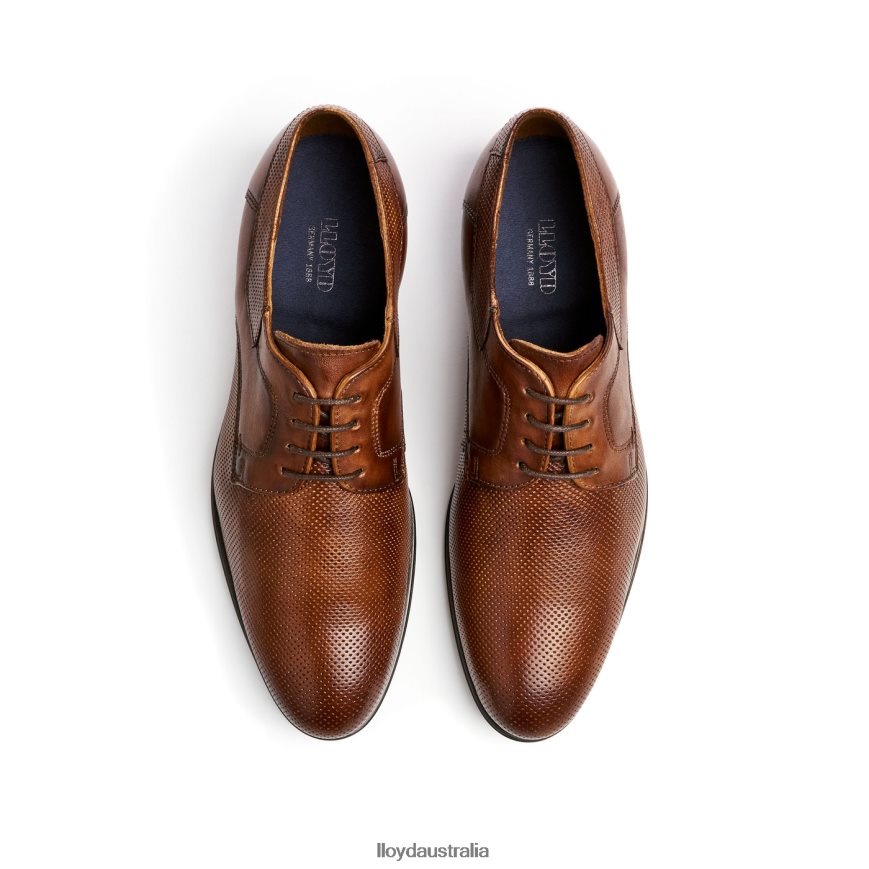 LLOYD Men LEVIN brown Shoes H6PTLF87