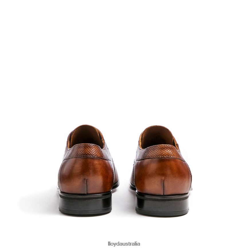 LLOYD Men LEVIN brown Shoes H6PTLF87