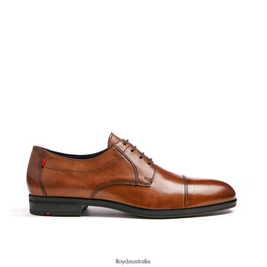 LLOYD Men LIAS brown Shoes H6PTLF24