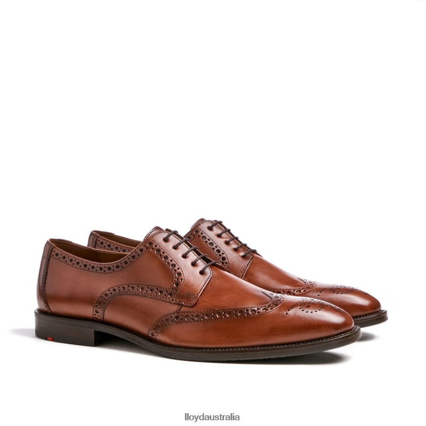 LLOYD Men LUCIEN brown Shoes H6PTLF574