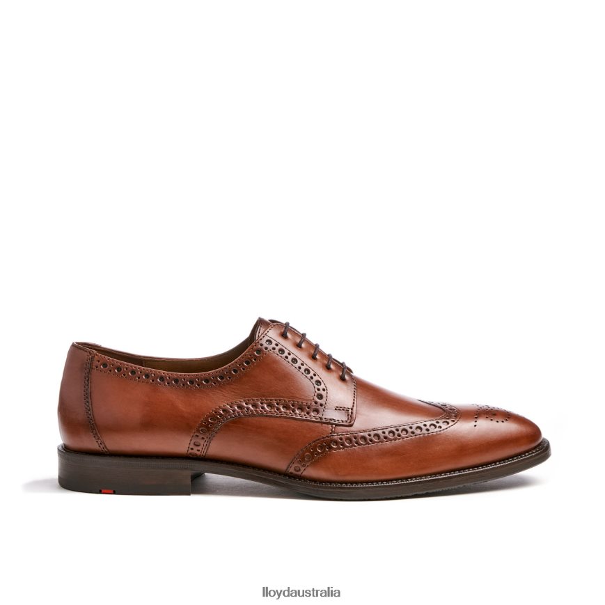 LLOYD Men LUCIEN brown Shoes H6PTLF574