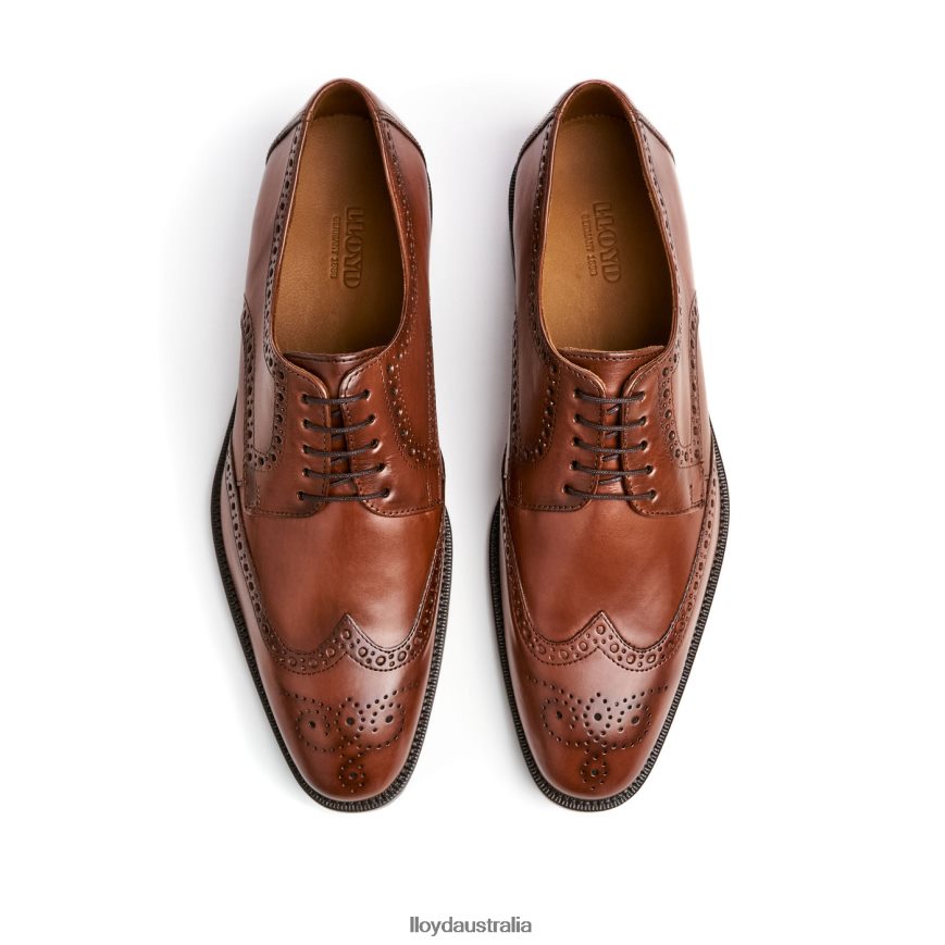 LLOYD Men LUCIEN brown Shoes H6PTLF574