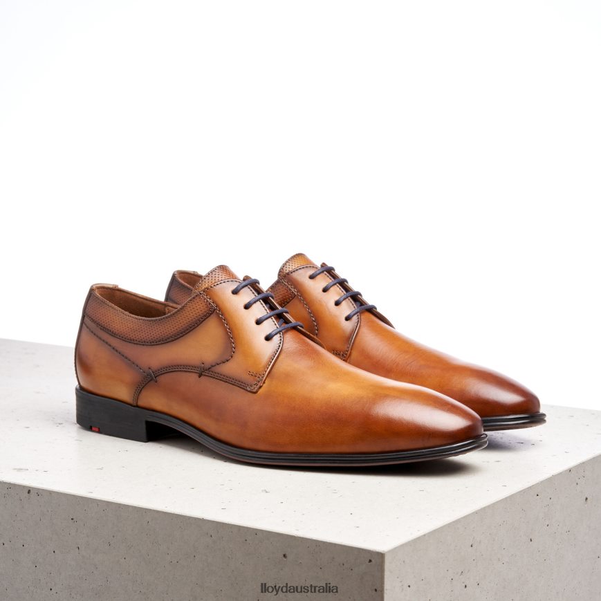 LLOYD Men MADISON brown Shoes H6PTLF192