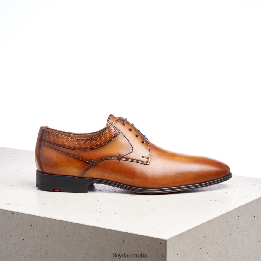 LLOYD Men MADISON brown Shoes H6PTLF192